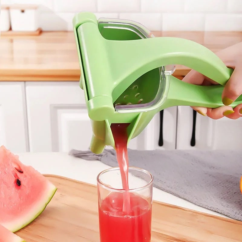 Fruit Juicer Squeezer